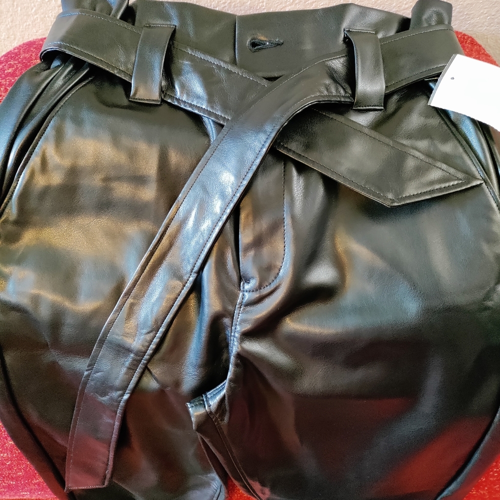 Express Pleather Pants